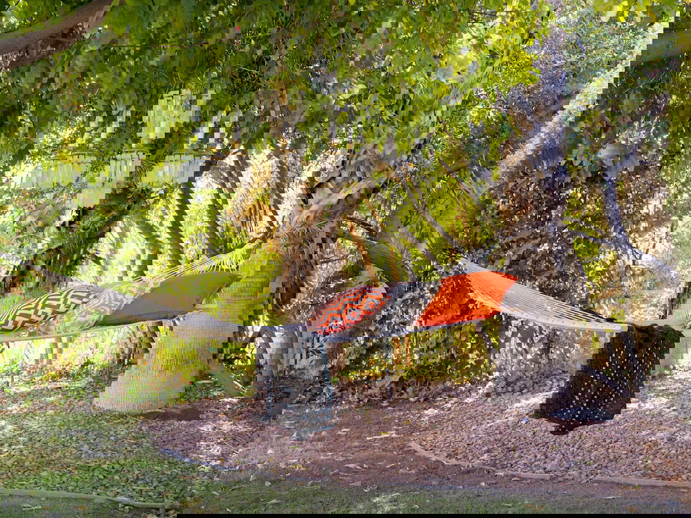 Immersive House - thumb 5