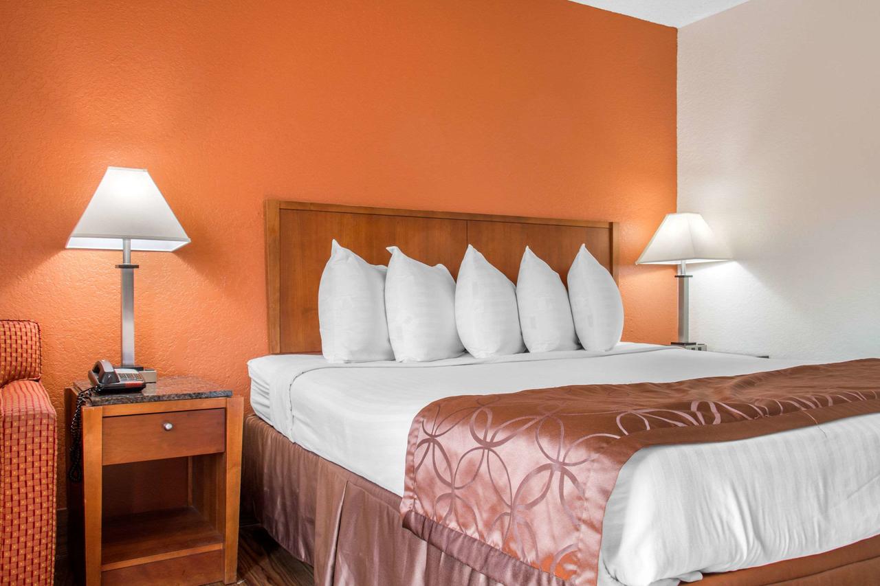 Rodeway Inn Savannah I-95 - thumb 29