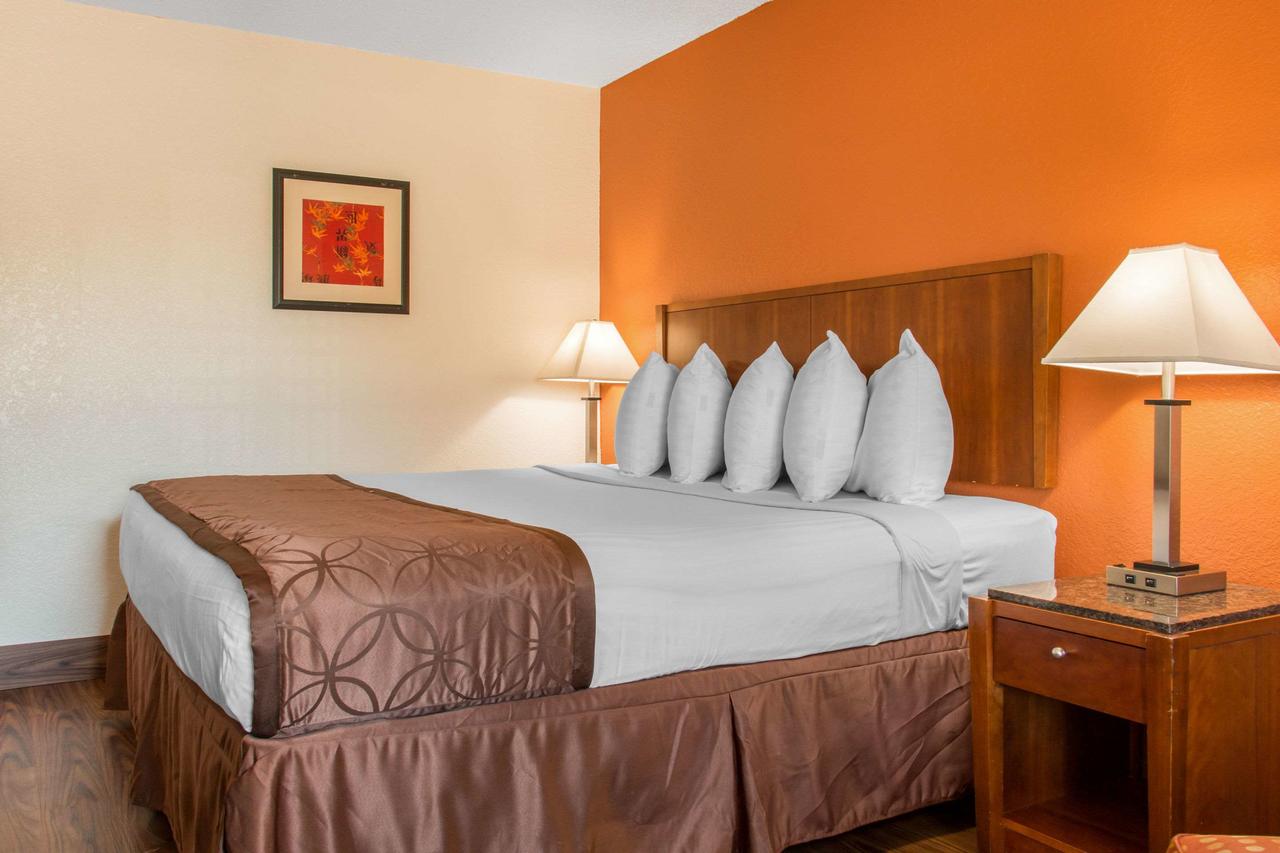 Rodeway Inn Savannah I-95 - thumb 28