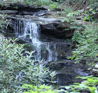 Kingwood Country Club and Resort - Tourism Bookings