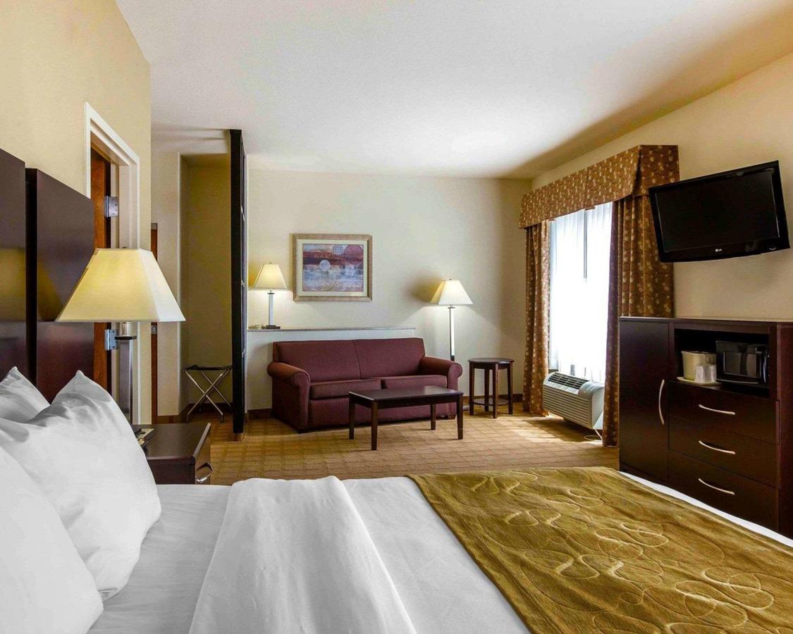 Comfort Suites Byron Warner Robins - thumb 2