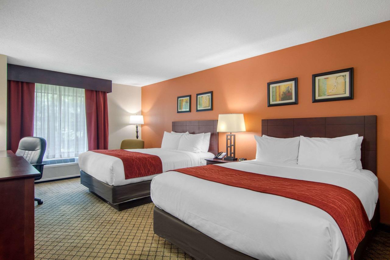 Comfort Inn & Suites - thumb 19