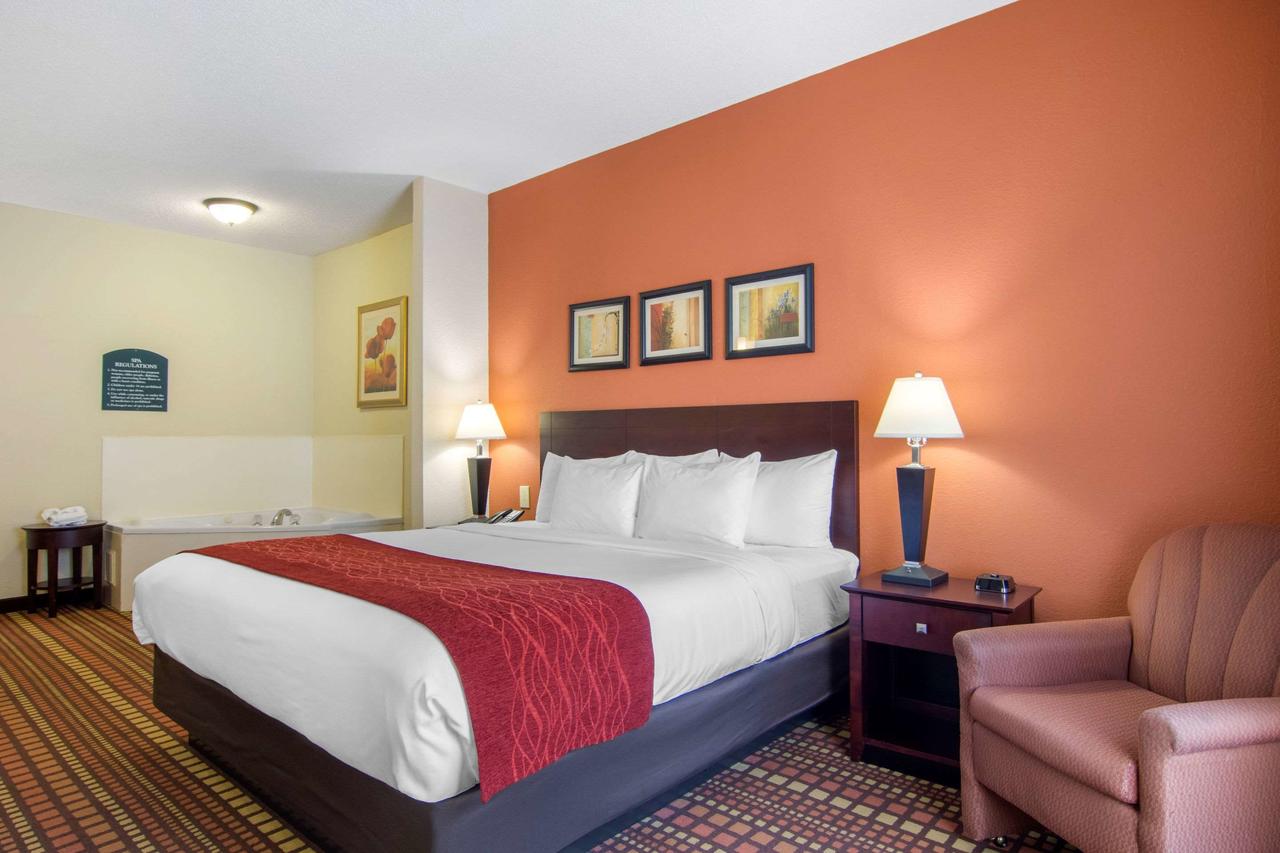 Comfort Inn & Suites - thumb 24