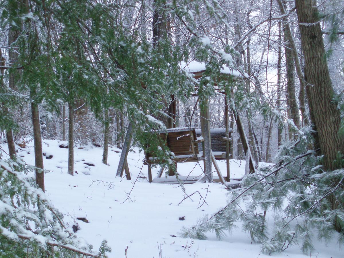 Mountain Top Lodge - thumb 1