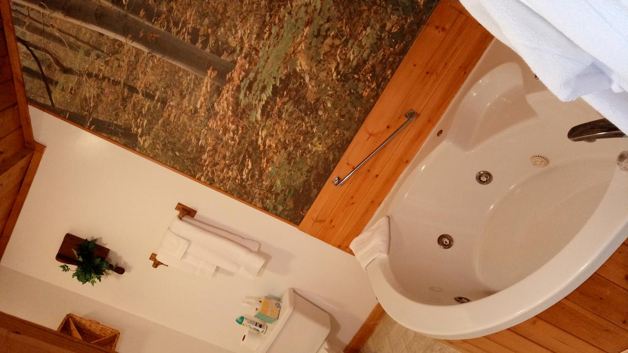 Mountain Top Lodge - thumb 22