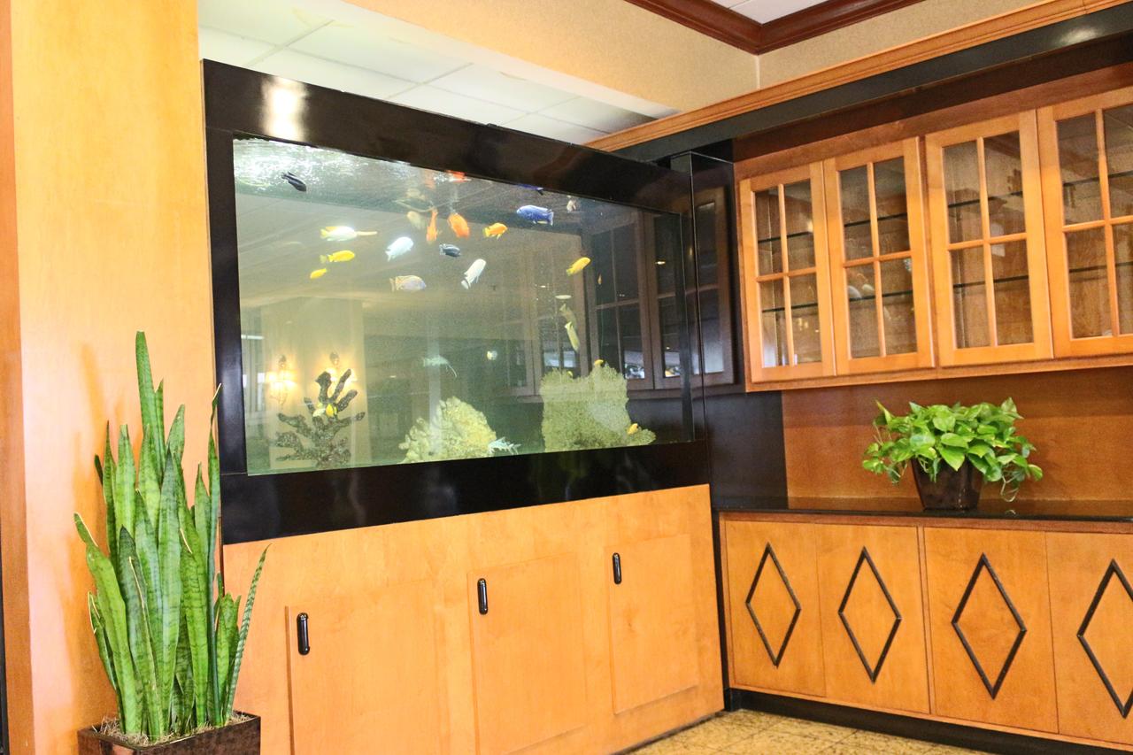 Ramada Plaza By Wyndham Atlanta Downtown Capitol Park - thumb 12