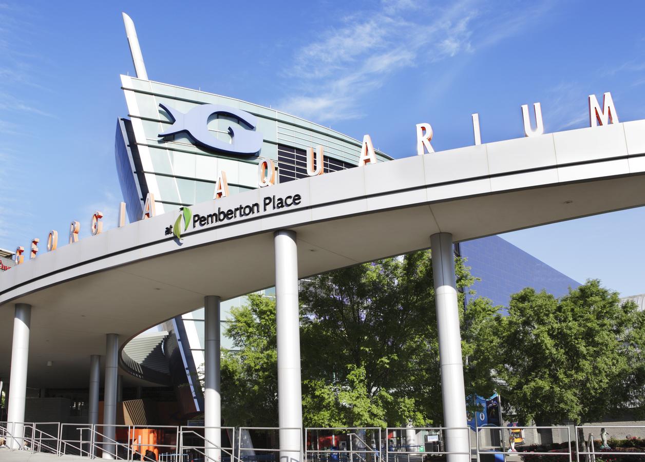 Super 8 By Wyndham Marietta/West/Atl Area - thumb 1