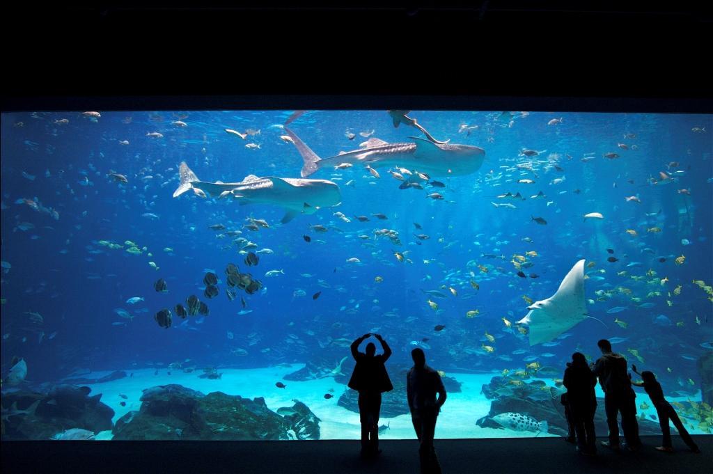 Super 8 By Wyndham Marietta/West/Atl Area - thumb 2