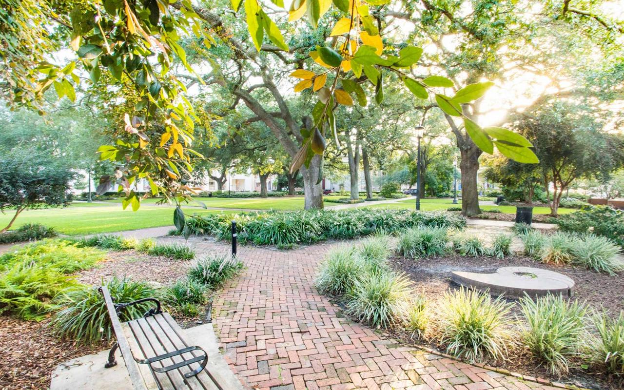 Savannah Skyline By Lucky Savannah - thumb 9