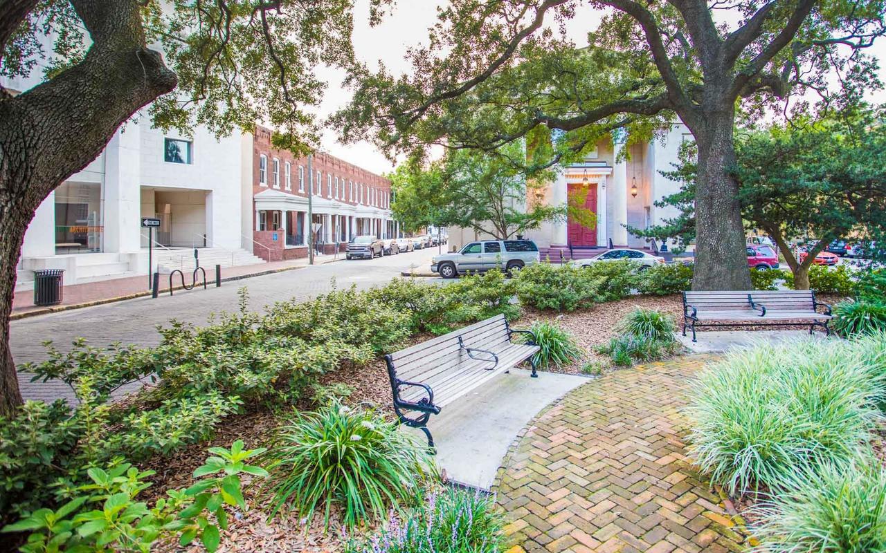 Savannah Skyline By Lucky Savannah - thumb 31