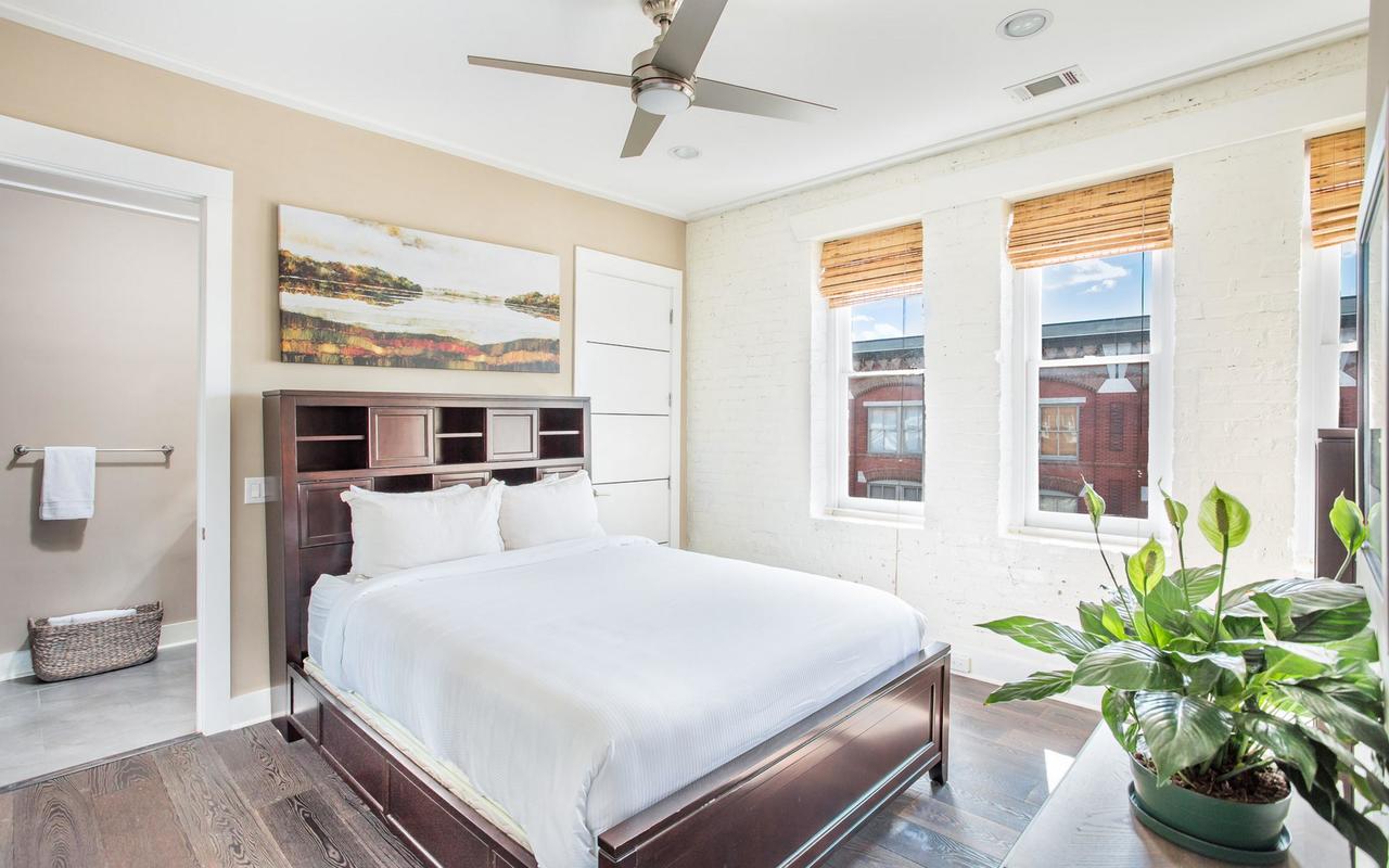 Savannah Skyline By Lucky Savannah - thumb 3