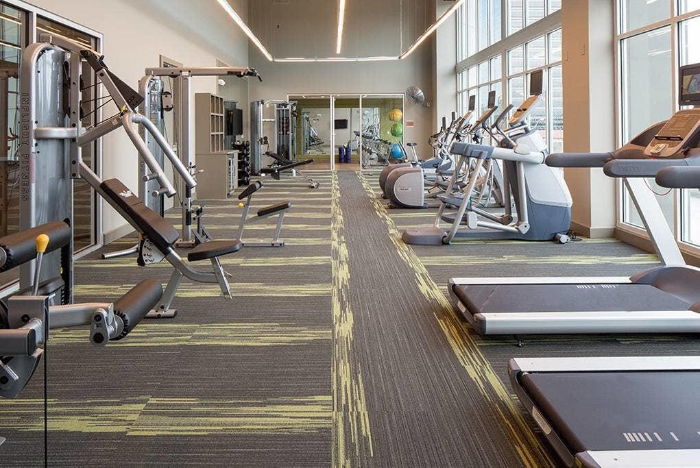 Sophisticated Suite In Awesome Location Atlanta - thumb 19