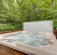 Lazy Bear Den - 2 Bed 1 Bath Vacation home in Blue Ridge - Hotels Santiago