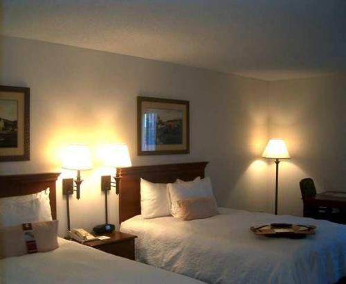 Hampton Inn & Suites Atlanta-Galleria - thumb 22