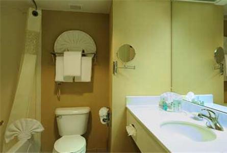 Hampton Inn & Suites Atlanta-Galleria - thumb 28