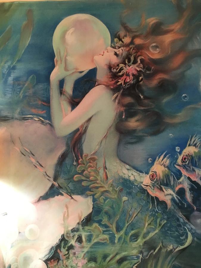 Mermaid Dreams Bed And Breakfast - thumb 37