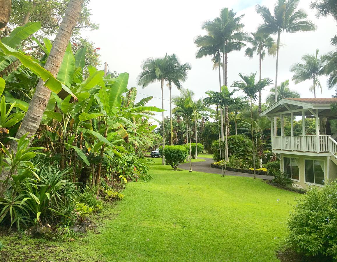 Mermaid Dreams Bed And Breakfast - thumb 26