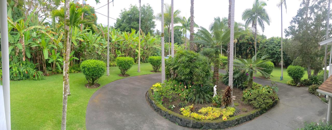 Mermaid Dreams Bed And Breakfast - thumb 12