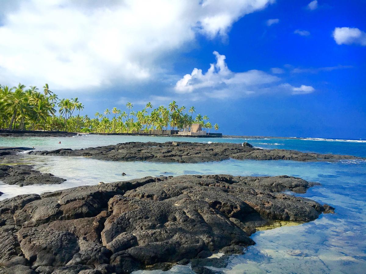 Mermaid Dreams Bed And Breakfast - thumb 31