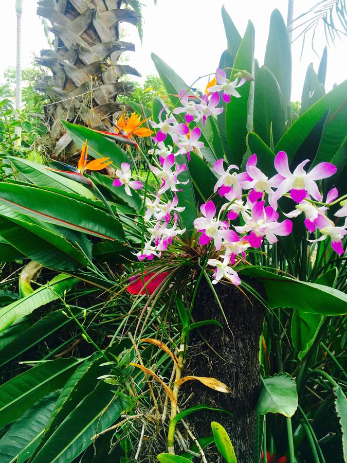 Mermaid Dreams Bed And Breakfast - thumb 38