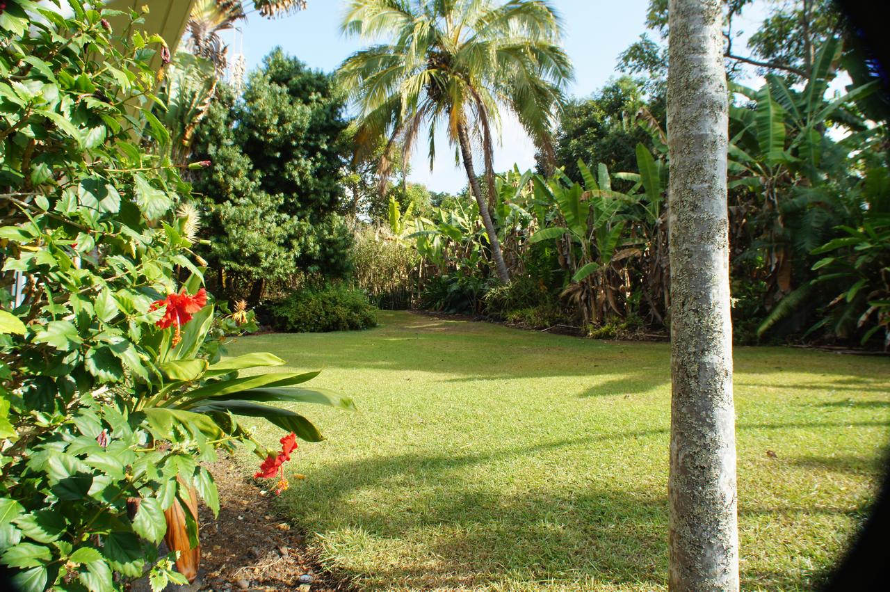 Mermaid Dreams Bed And Breakfast - thumb 24