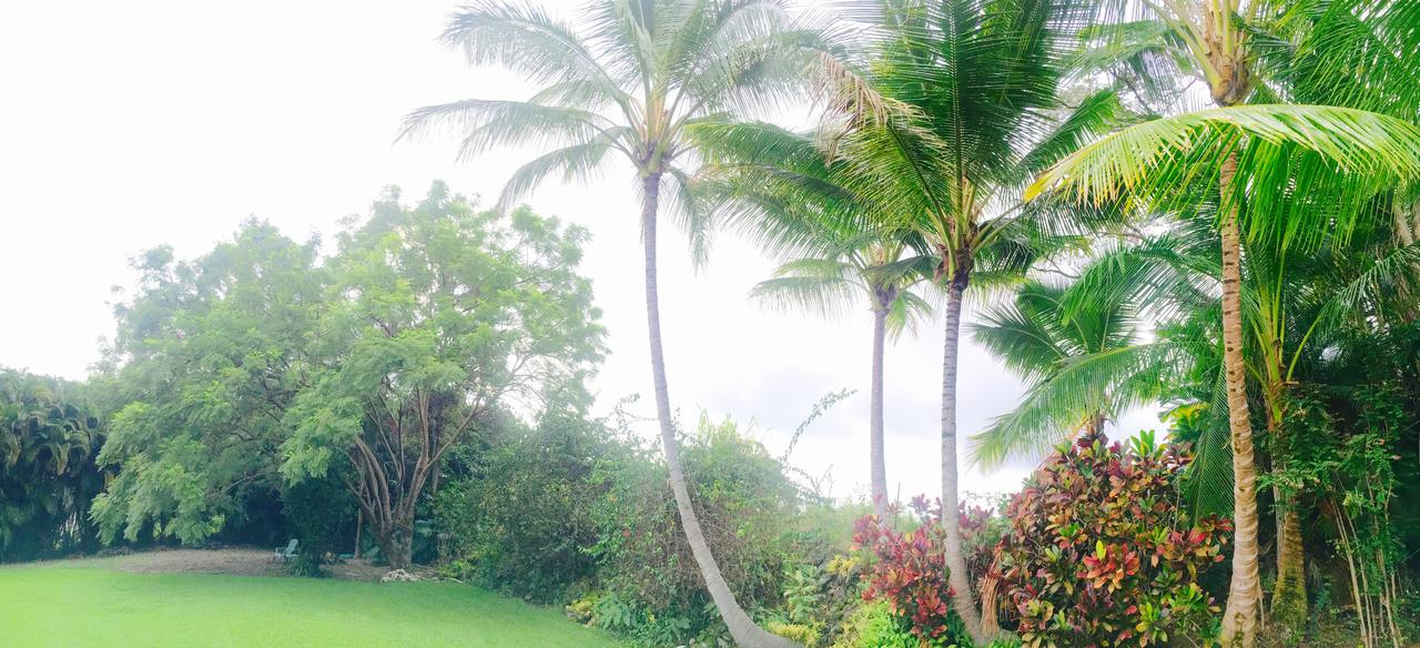 Mermaid Dreams Bed And Breakfast - thumb 29