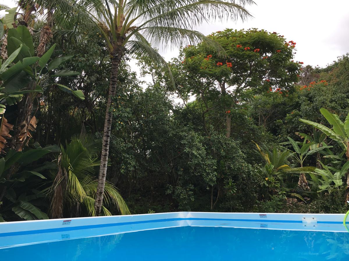 Mermaid Dreams Bed And Breakfast - thumb 17