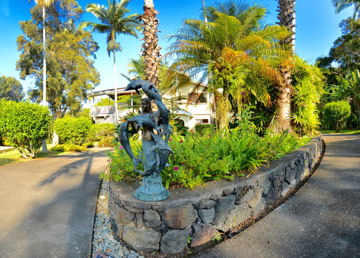 Mermaid Dreams Bed And Breakfast - thumb 20