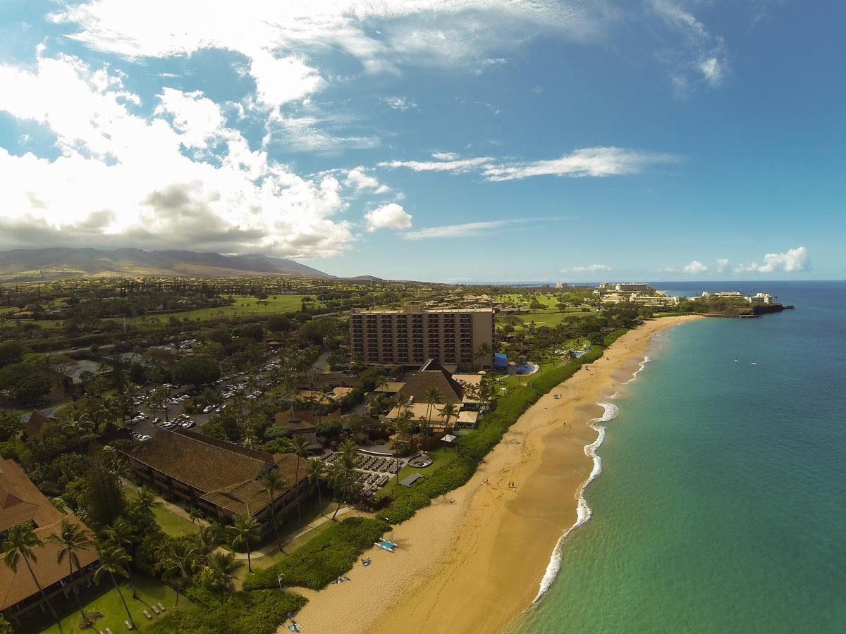 Kaanapali Ocean Inn - thumb 7