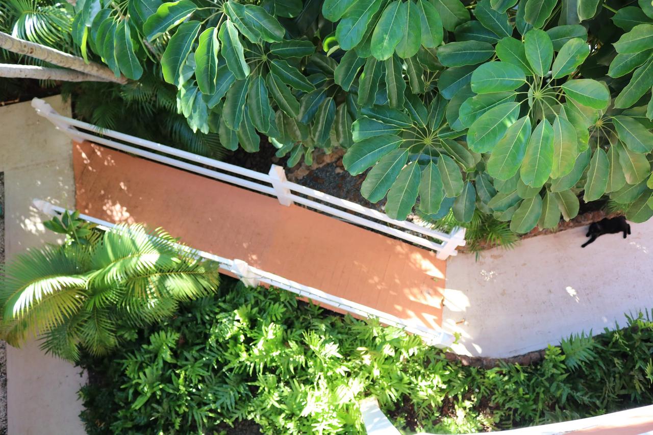 Maui Garden Oasis - thumb 7