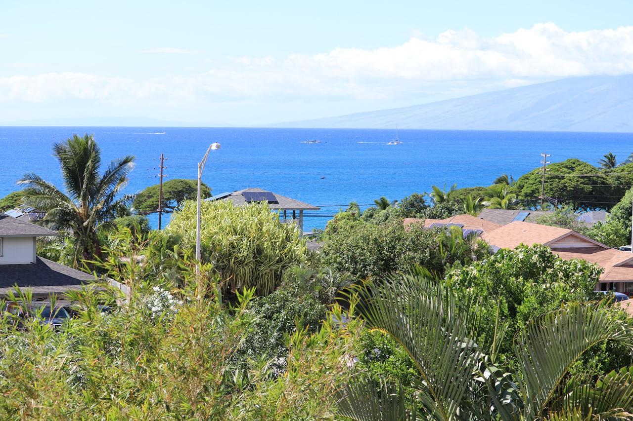 Maui Garden Oasis - thumb 15