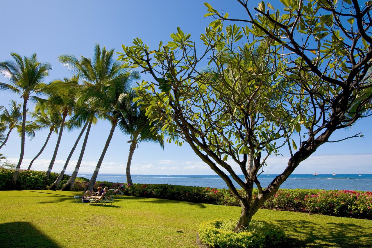 Lahaina Shores - thumb 2