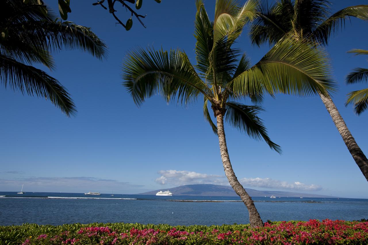 Lahaina Shores - thumb 11