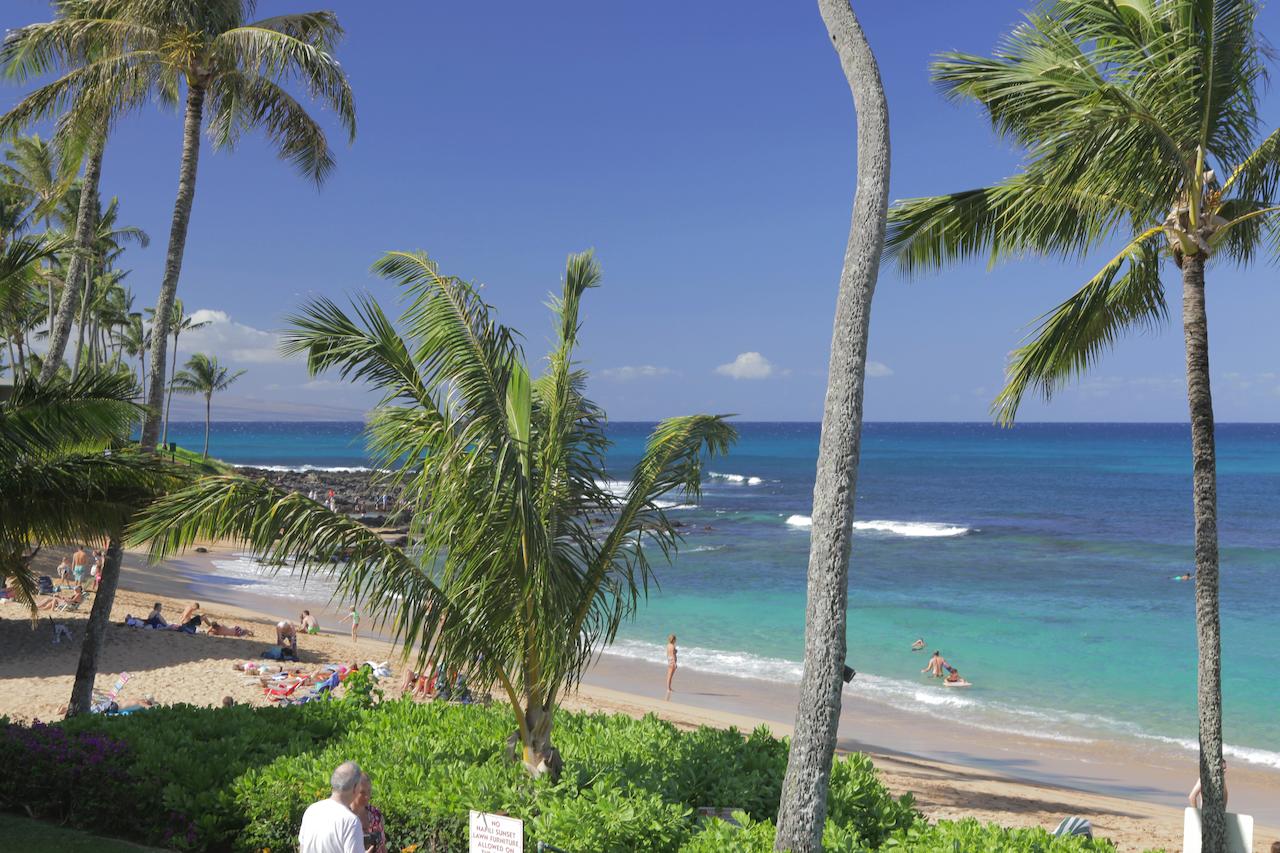 Napili Sunset Beach Front Resort - thumb 11