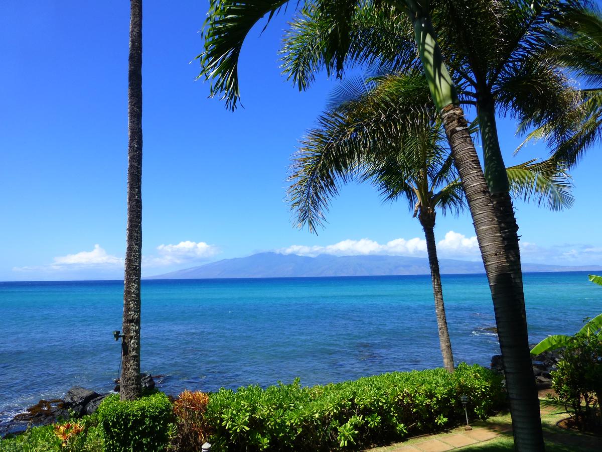 Mahina Surf - thumb 3