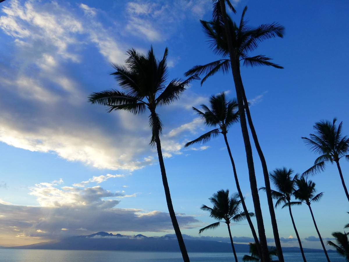 Mahina Surf - thumb 6