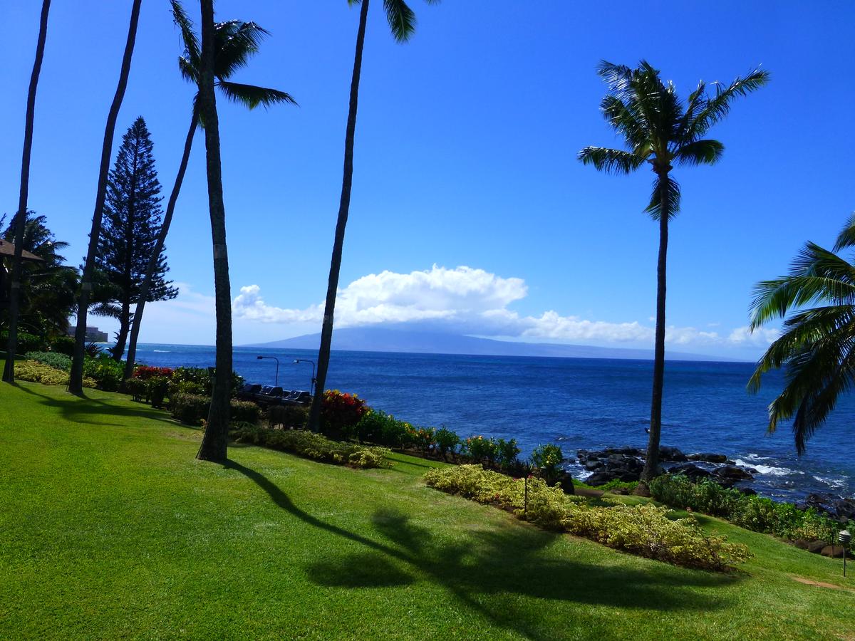Mahina Surf - thumb 16