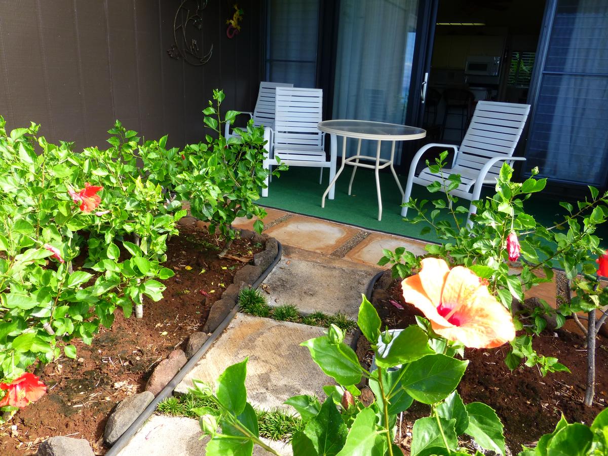 Mahina Surf - thumb 17