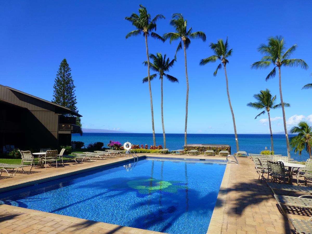 Mahina Surf - thumb 2