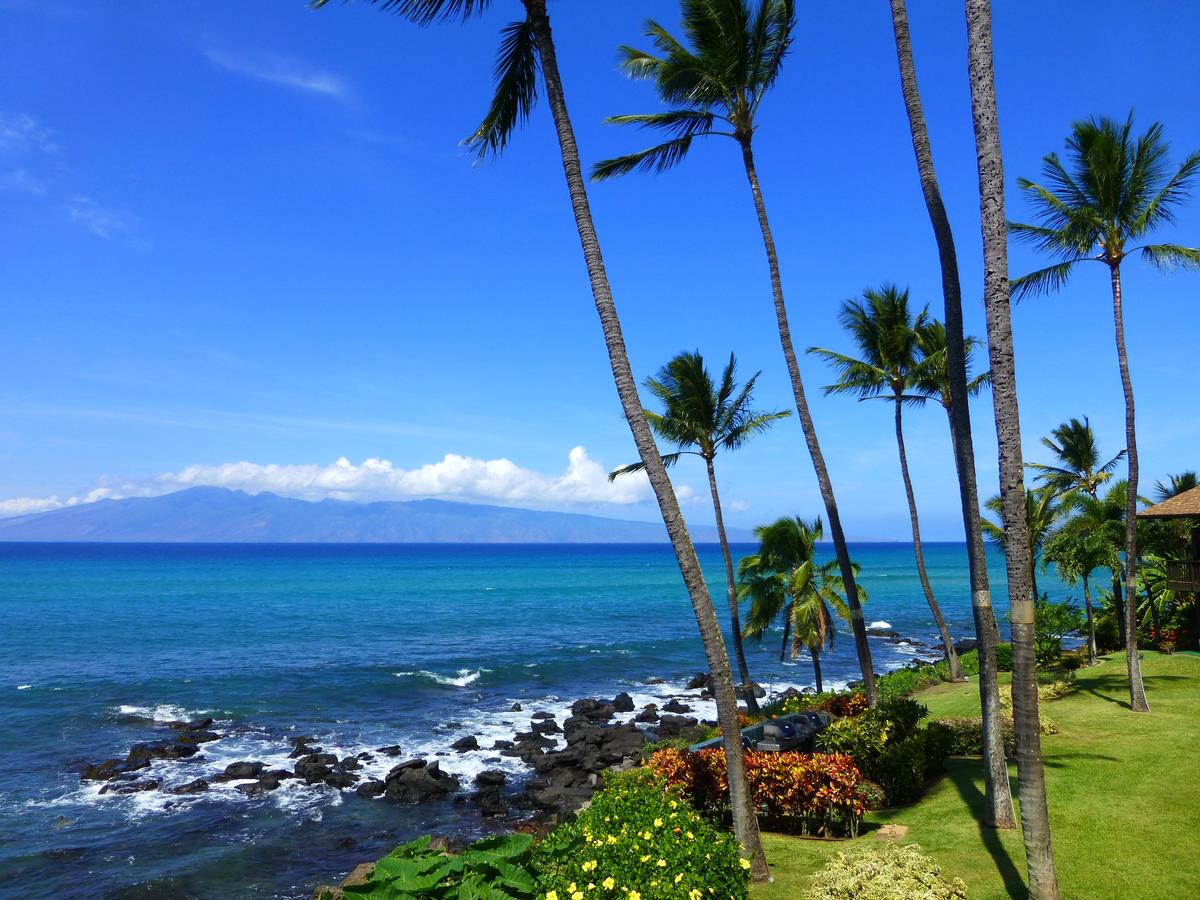 Mahina Surf - thumb 0
