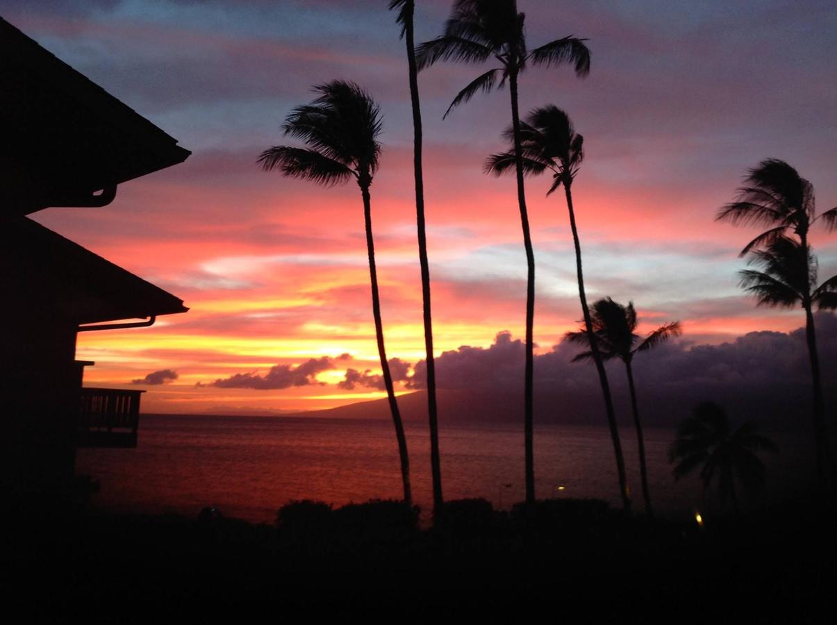 Mahina Surf - thumb 7