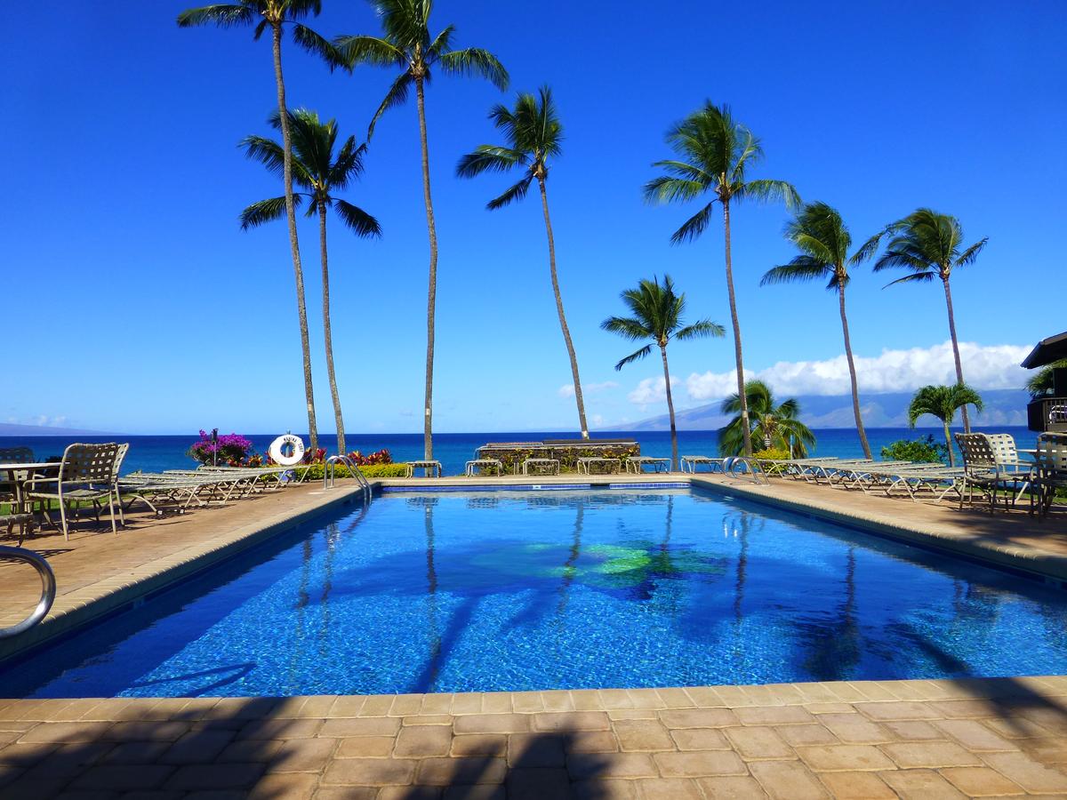 Mahina Surf - thumb 1
