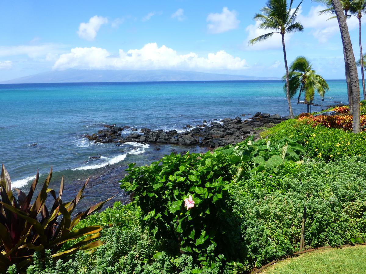 Mahina Surf - thumb 15