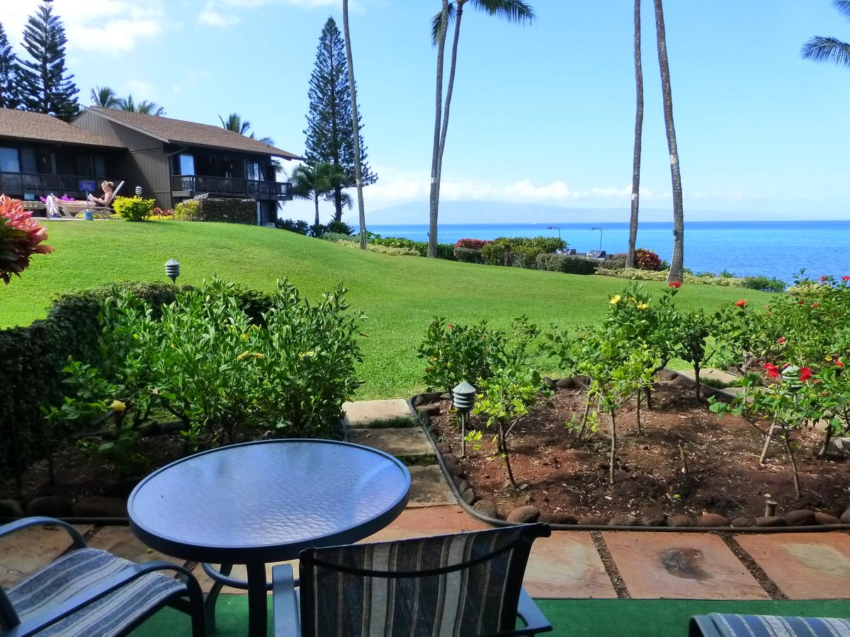 Mahina Surf - thumb 19