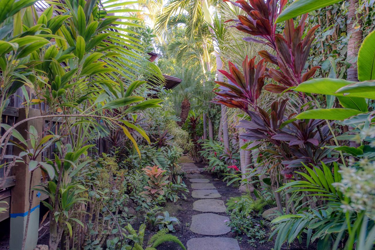 The Kulani Maui - thumb 13