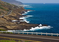 Booking Honolulu Tourism Bookings