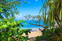 Booking Kilauea USA Accommodation