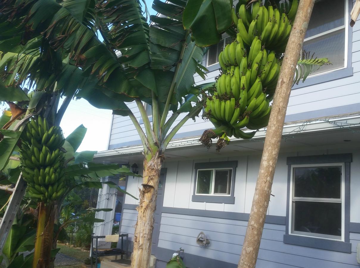 Banana Bungalow In Laie, North Shore, Oahu - thumb 24