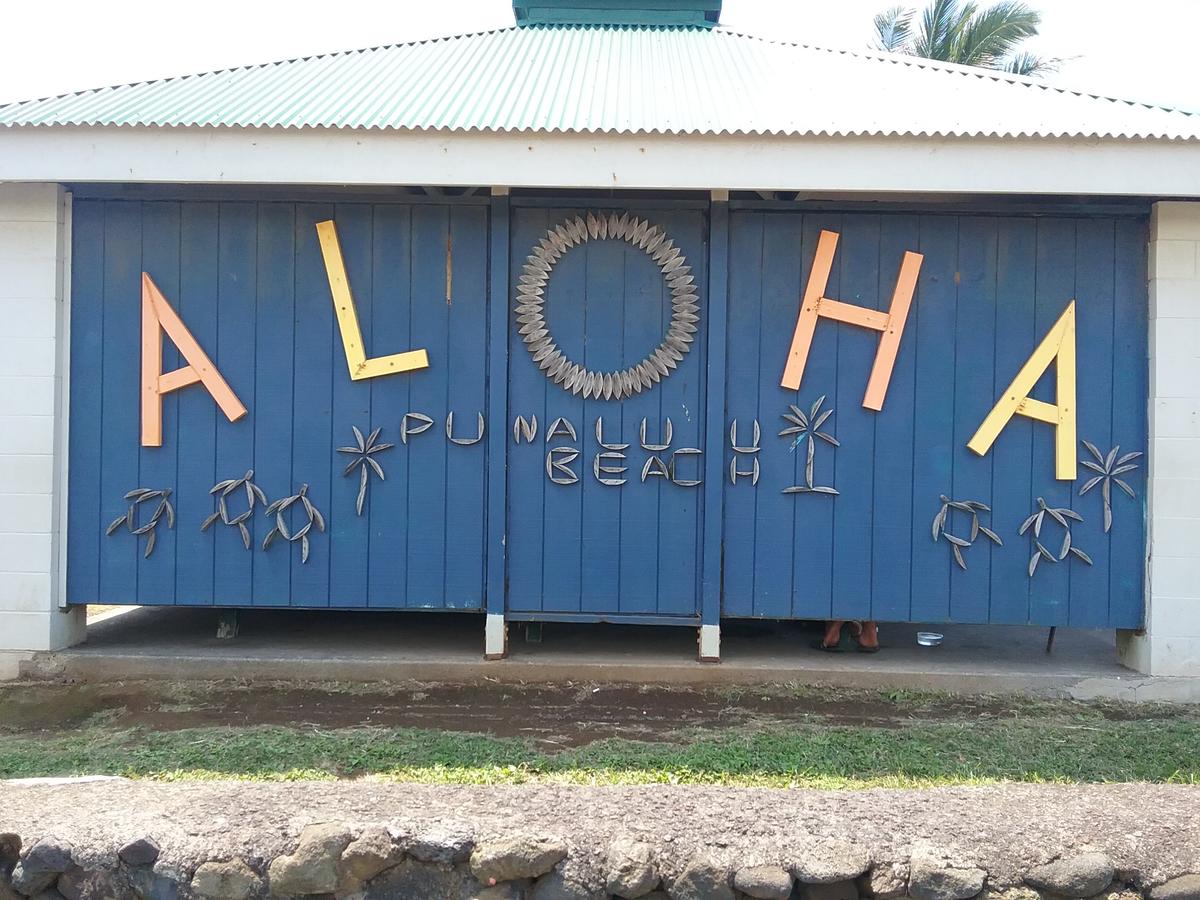 Ocean View Paradise! - thumb 32