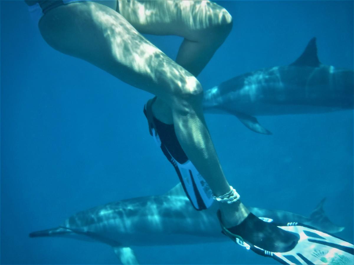 Ocean View Paradise! - thumb 12